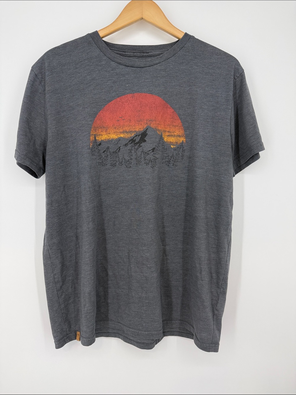 Tentree Men's Charcoal Graphic Tee with Sunset Mountain Print